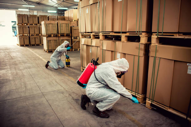 Best Mosquito Control Services  in Lagrange, OH