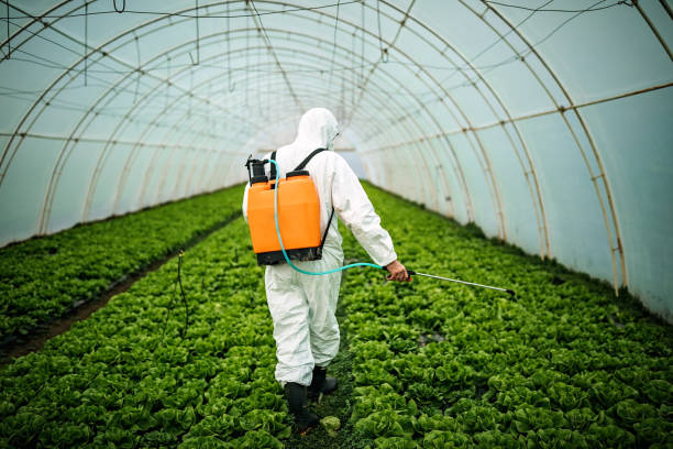 Best Affordable Exterminators  in Lagrange, OH