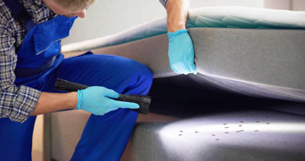 Best Affordable Pest Control Services  in Lagrange, OH