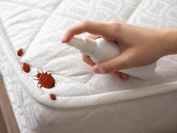 Best Affordable Pest Control Services  in Lagrange, OH