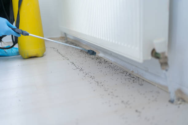 Best Cockroach Control Services  in Lagrange, OH